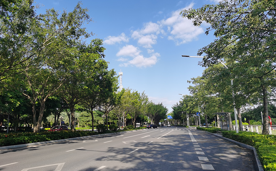 Nanning road lighting project - Libin Road street lamp case