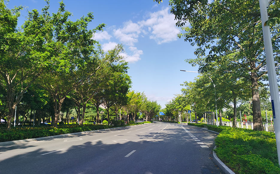 Nanning road lighting project - Libin Road street lamp case