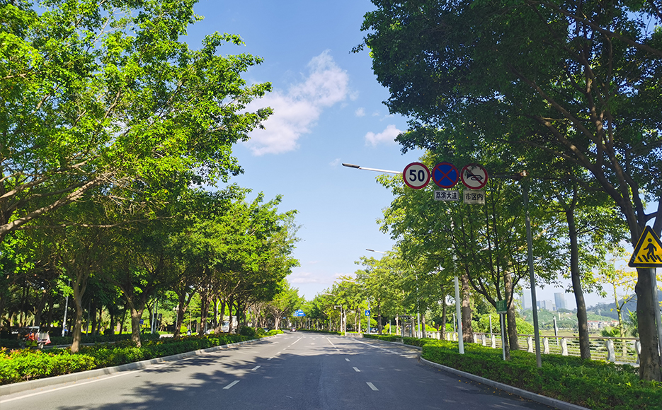 Nanning road lighting project - Libin Road street lamp case