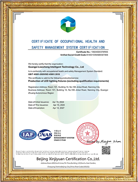 ISO45001 Occupational Health - English