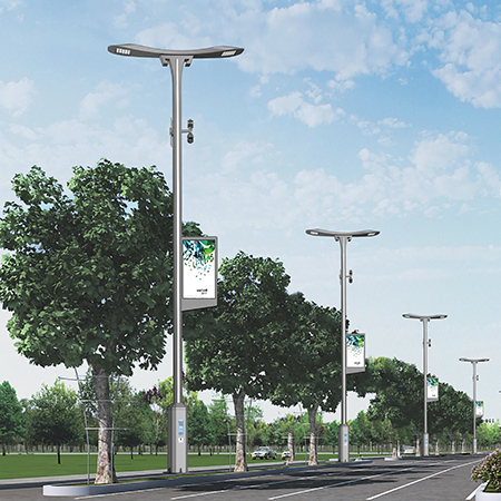 Multifunctional pole