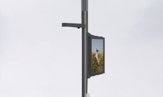Smart garden light