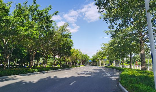 Nanning road lighting project - Libin Road street lamp case