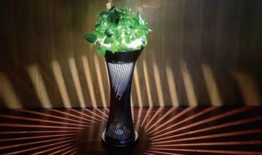 Lawn light -EYL350
